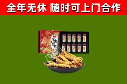 天心区烟酒回收冬虫夏草礼盒.jpg